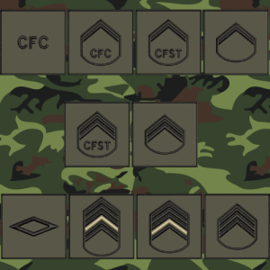 insignias-graduacoes-exercito