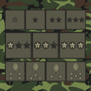 insignias-postos-exercito